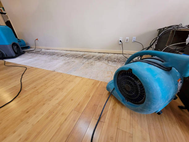 Professional Flood Damage Cleanup technician working in Bethany, MO